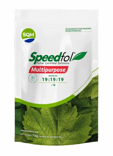 Shree Hari Enterprises-Speedfol® Multipurpose 19:19:19