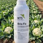 Shree Hari Enterprises- Briks Fix- 1 Liter