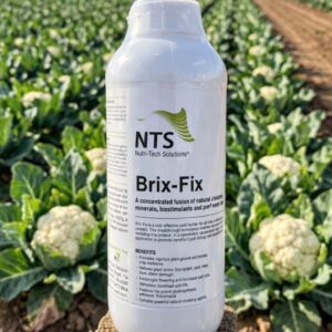 Shree Hari Enterprises- Briks Fix- 1 Liter