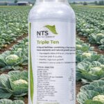 Shree Hari Enterprises- TRIPLE TEN- 1 Liter