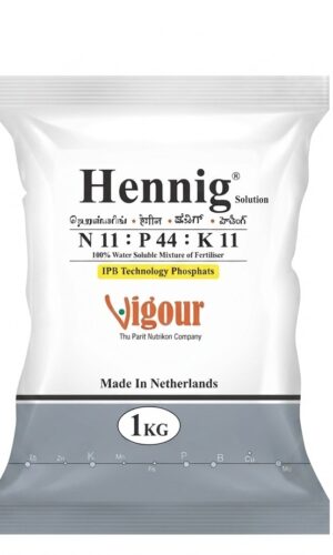 HENNIG SOLUTION