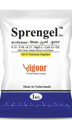 SPRENGEL