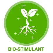 Bio