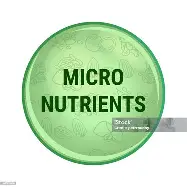 Micro